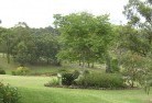 Kanagulkresidential-landscaping-40.jpg; ?>